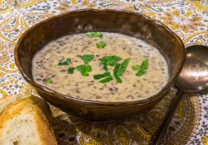 Mushroom Soup - Jewel of the Forest