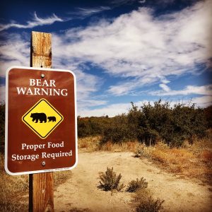 Bear sign