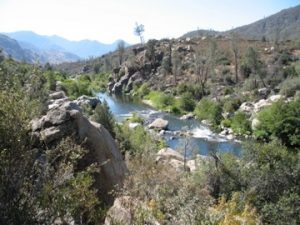 Camping in the Sierras by the Kern River